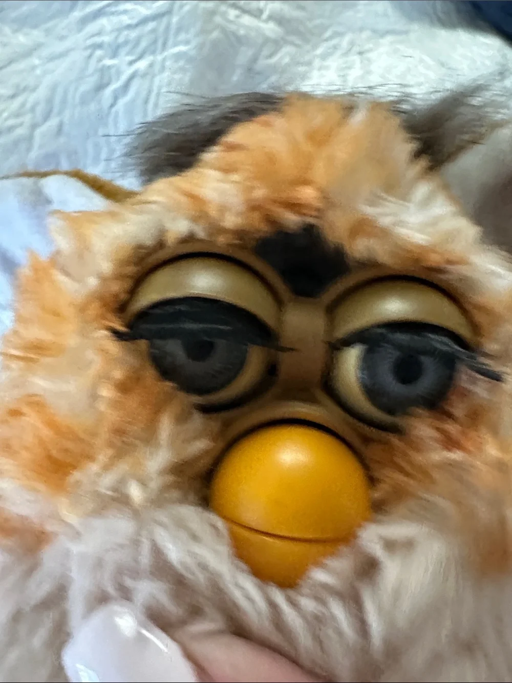 Furby 1998 - Picture 6 of 7